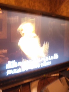 �Ƃ肠����